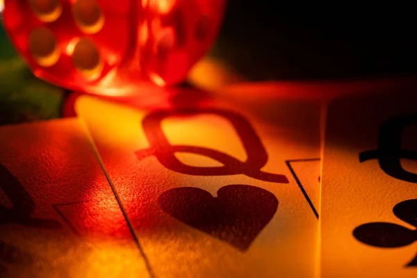 4d dragon Live Camera Feed
